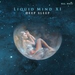 Liquid Mind, Liquid Mind XI: Deep Sleep