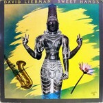 David Liebman, Sweet Hands mp3