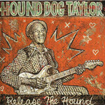Hound Dog Taylor, Release The Hound mp3