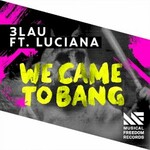 3LAU, We Came To Bang feat. Luciana