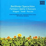 Slovak Philharmonic Choir, ORF Radio-Symphonieorchester Wien, Budapest Festival Chorus, Famous Opera Choruses mp3