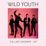 Wild Youth, The Last Goodbye mp3