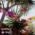 Summer Salt, Campanita mp3