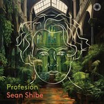 Sean Shibe, Profesion
