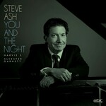 Steve Ash, You And The Night mp3