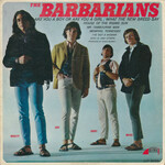 The Barbarians, Are You A Boy Or Are You A Girl