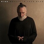 Fink, Beauty In Your Wake