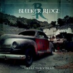 Bleeker Ridge, Small Town Dead