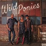 Wild Ponies, Things That Used to Shine