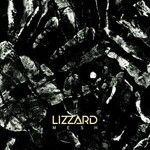 Lizzard, Mesh