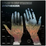 A Place to Bury Strangers, Synthesizer