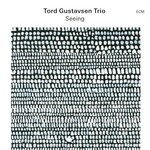 Tord Gustavsen Trio, Seeing