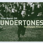 The Undertones, Teenage Kicks: The Best of the Undertones mp3