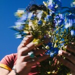 Joe Jonas, Music For People Who Believe In Love
