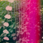 Snowpoet, Heartstrings