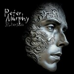 Peter Murphy, Silver Shade