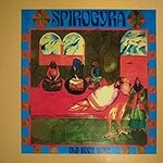 Spirogyra, Old Boot Wine