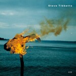 Steve Tibbetts, A Man About A Horse