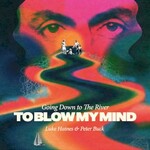 Luke Haines & Peter Buck, Going Down To The River... To Blow My Mind mp3