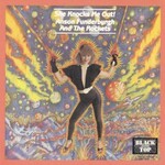 Anson Funderburgh & The Rockets, She Knocks Me Out!