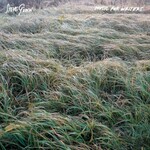 Steve Gunn, Music For Writers