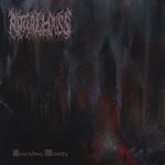 Ritual Mass, Cascading Misery