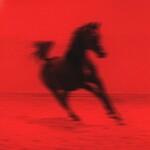 Red Rum Club, BUCK