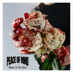 Peace of Mind, Blood Is The Price mp3