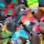Blawan, SickElixir mp3