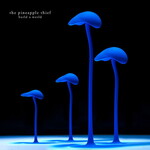 The Pineapple Thief, Build a World