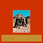 Leisure, Welcome to the Mood