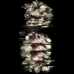 Blackshape, Blackshape mp3