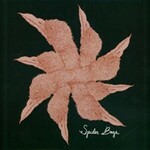 Spider Bags, A Celebration of Hunger