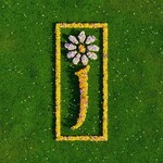 James, Nothing But Love: The Definitive Best Of