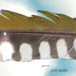 June Star, Pull Awake