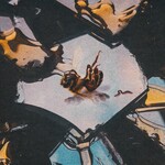 Stain the Canvas, Honey Rot