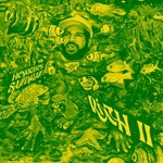 Homeboy Sandman, Rich II