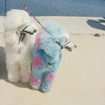 Exek, Advertise Here mp3