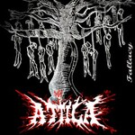 Attila, Fallacy