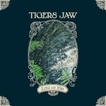 Tigers Jaw, Lost on You