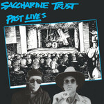 Saccharine Trust, Past Lives