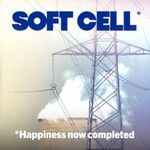 Soft Cell, Happiness Now Completed