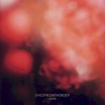 Shedfromthebody, Amare mp3