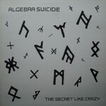 Algebra Suicide, The Secret Like Crazy mp3