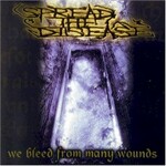 Spread the Disease, We Bleed From Many Wounds