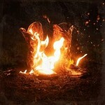 Ben Fuller, Walk Through Fire: Songs From The Smoke