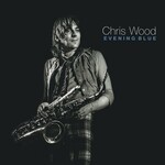 Chris Wood, Evening Blue