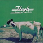 Flash, In Public mp3