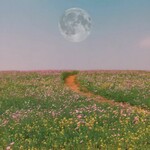 nCamargo, The Scenic Route mp3