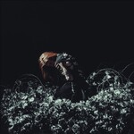Kami Kehoe, LOVE IS A WEAPON mp3